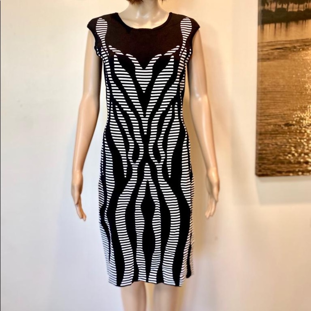 Stretch Fitted Dress